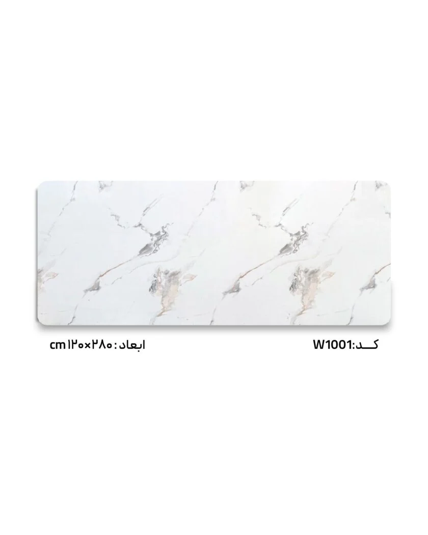 W1001