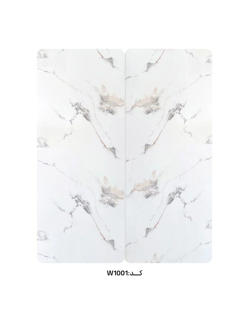 W1001