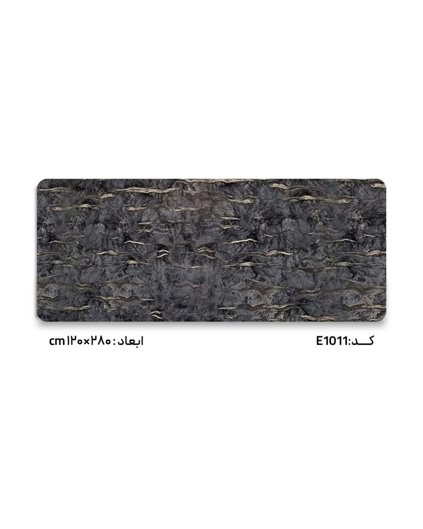 E1011