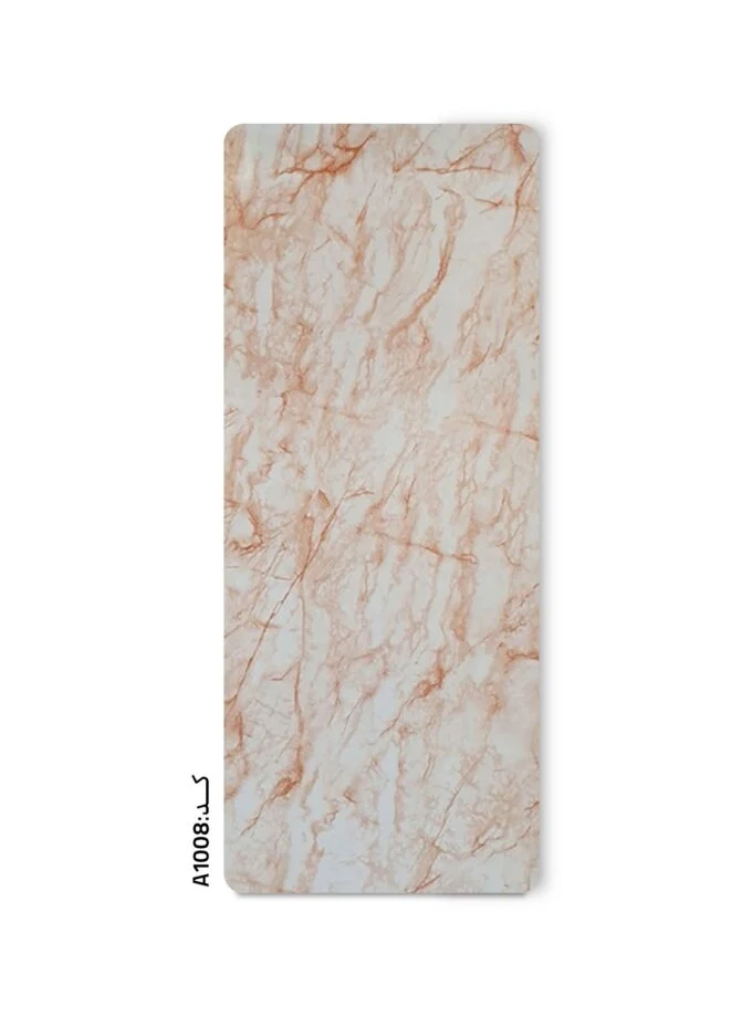 A1008