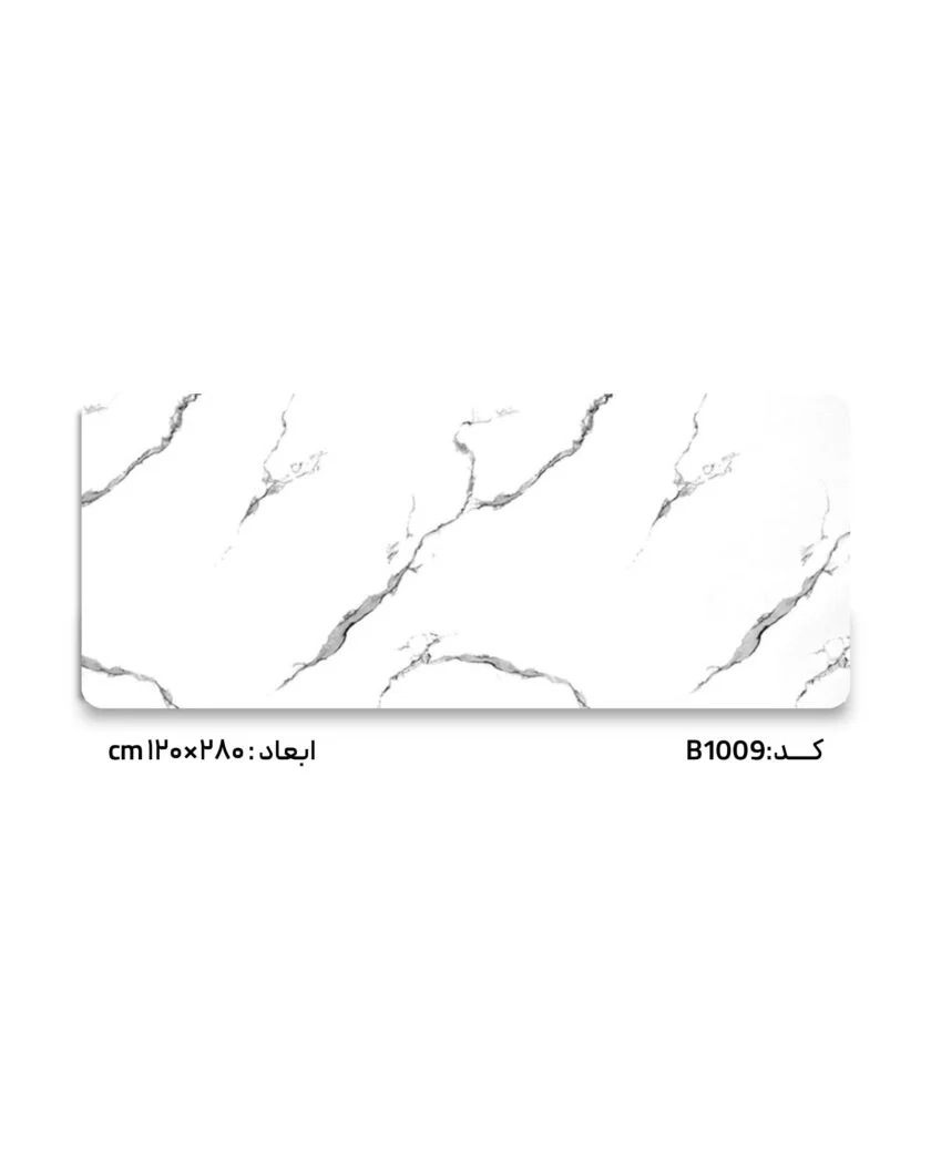 B1009