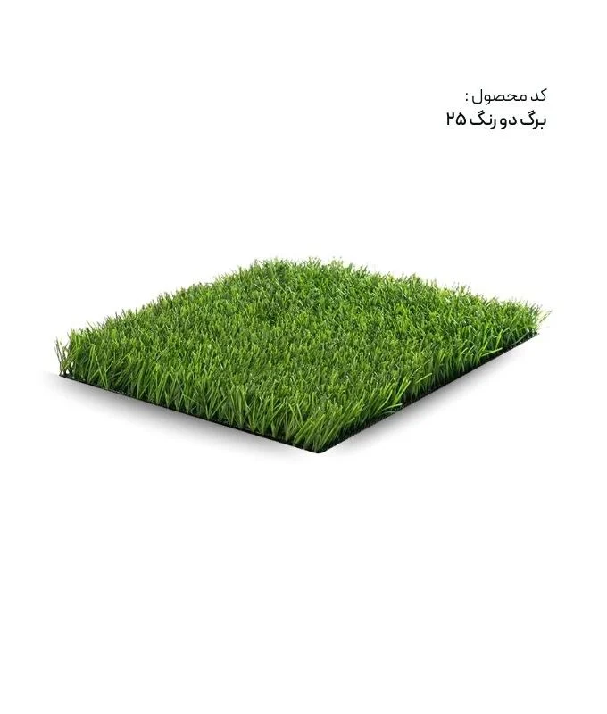 برگ دو رنگ25