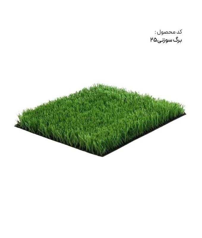 برگ سوزنی 25